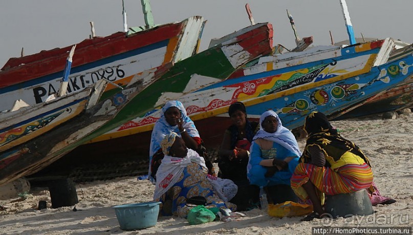 Вдоль полосы прибоя