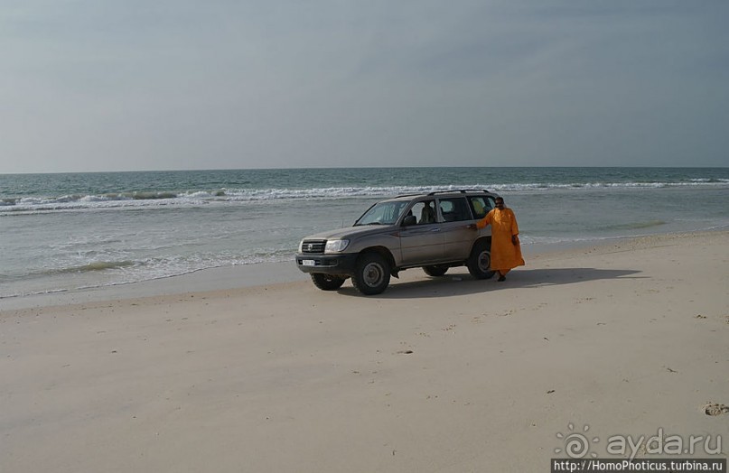 Вдоль полосы прибоя