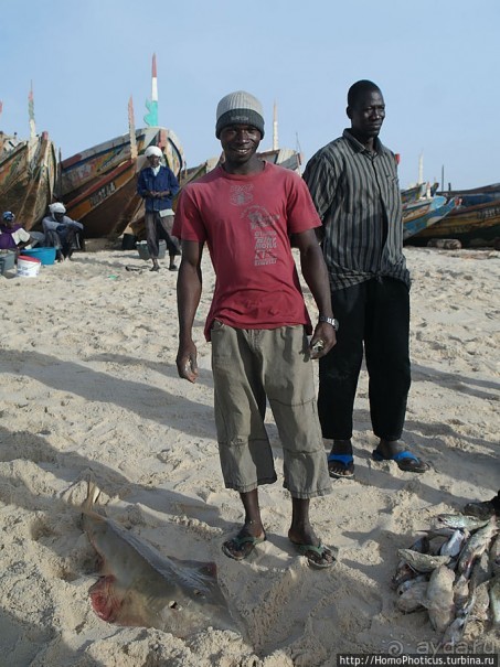 Вдоль полосы прибоя