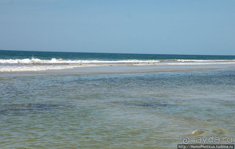 Вдоль полосы прибоя