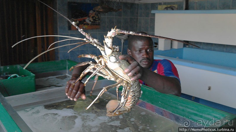 Вдоль полосы прибоя