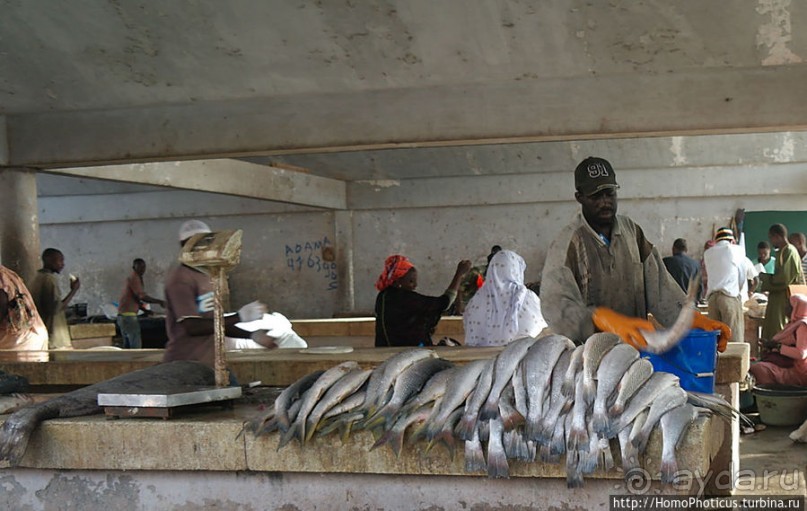 Вдоль полосы прибоя