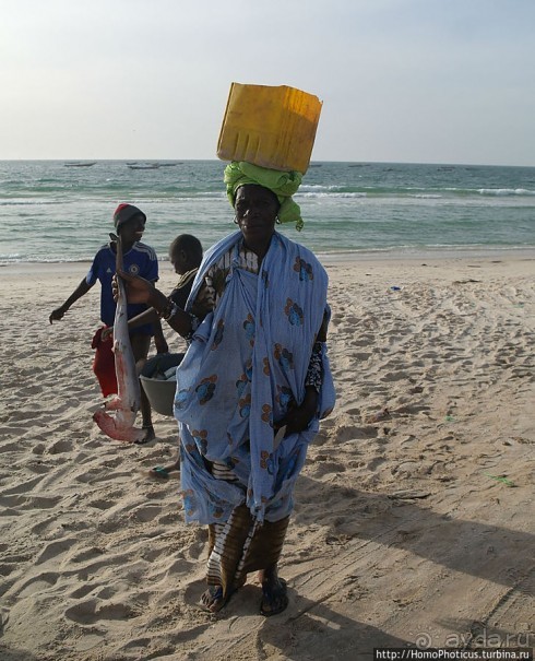 Вдоль полосы прибоя