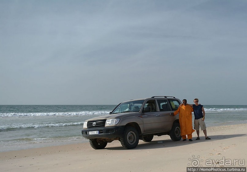 Вдоль полосы прибоя