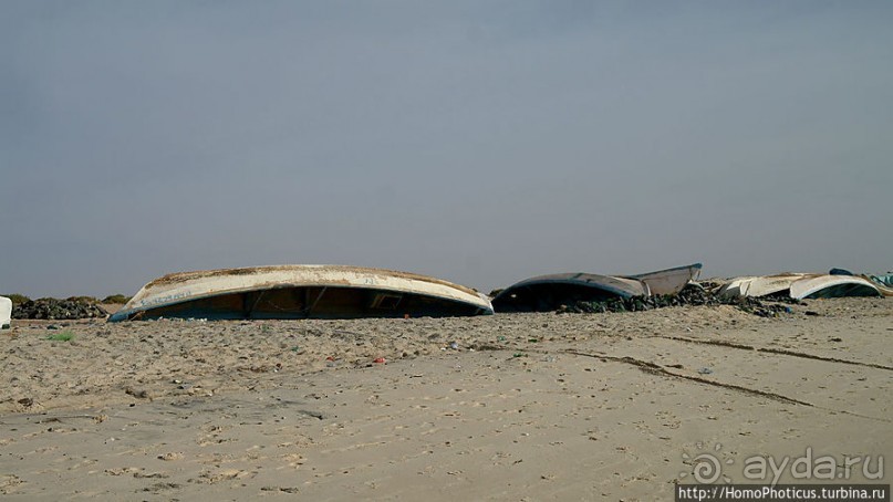 Вдоль полосы прибоя