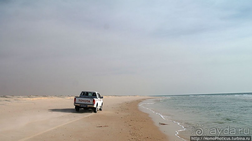 Вдоль полосы прибоя