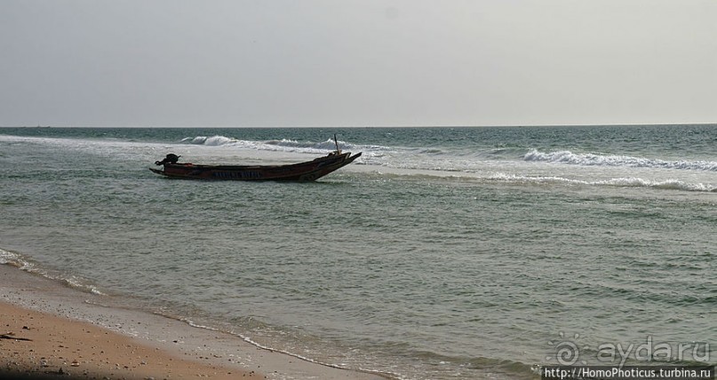 Вдоль полосы прибоя