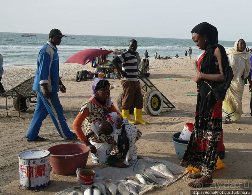 Вдоль полосы прибоя