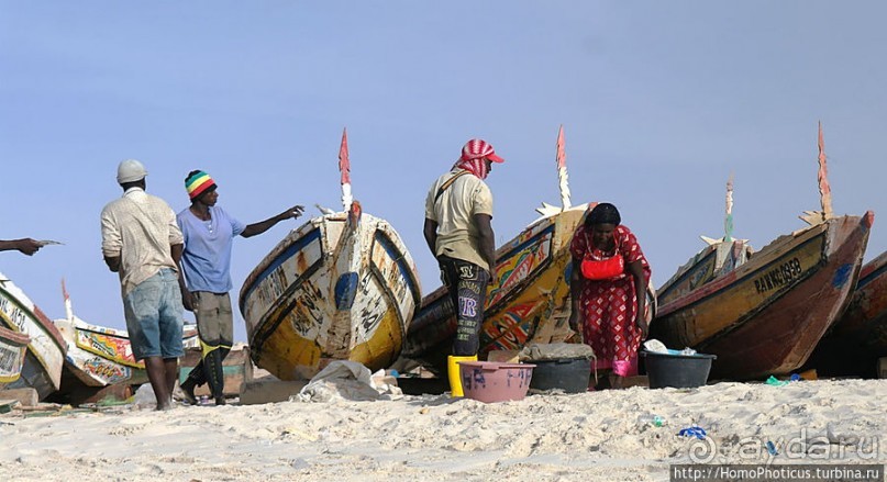 Вдоль полосы прибоя