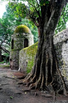 Абиссинские хроники. II. Дворцы и храмы