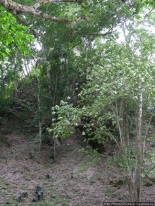 Место, где слышны голоса духов