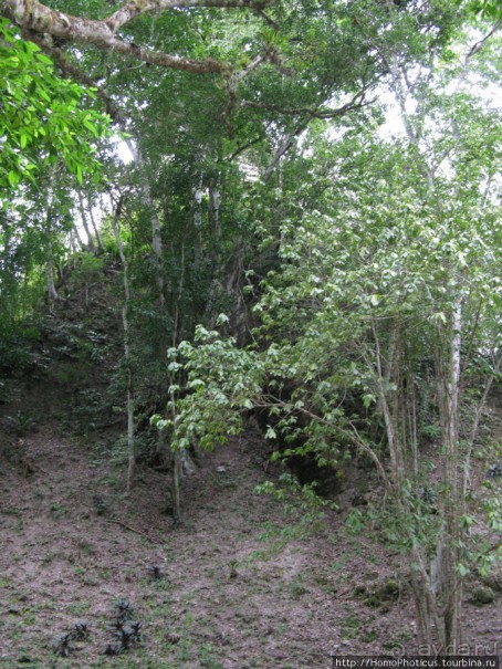 Место, где слышны голоса духов