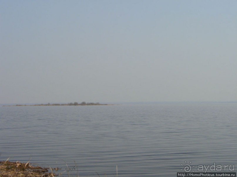 На берегу Неро