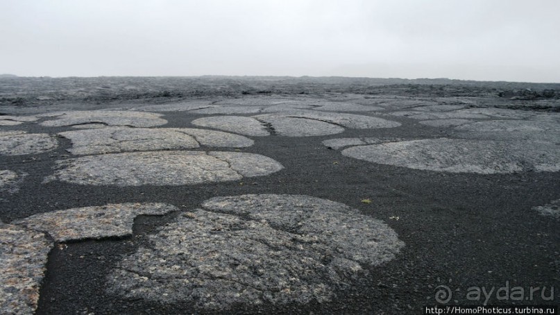 Центр Пустоты. Серое на черном