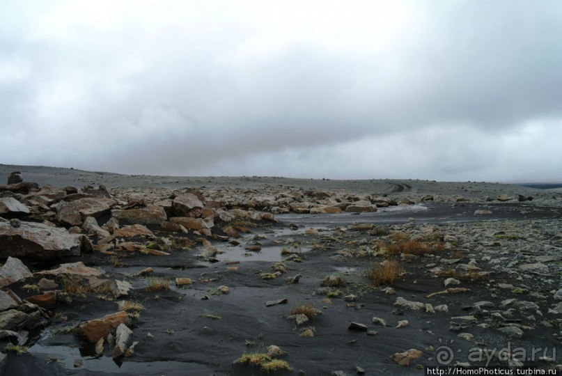 Центр Пустоты. Серое на черном