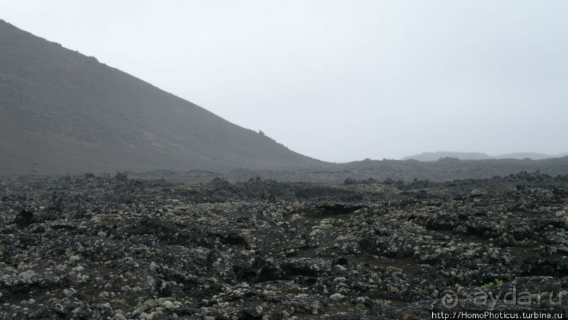 Центр Пустоты. Серое на черном