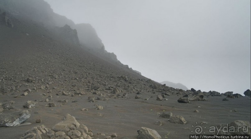 Центр Пустоты. Серое на черном