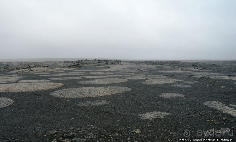 Центр Пустоты. Серое на черном