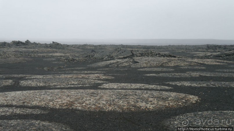 Центр Пустоты. Серое на черном