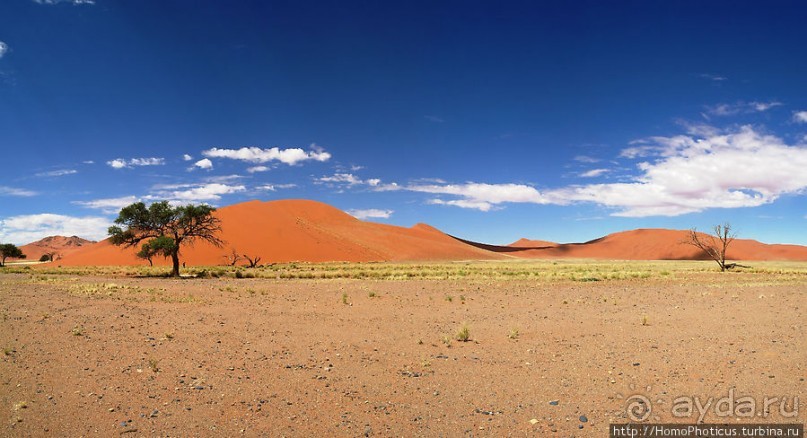 Оранжевые дюны Соссусфлея