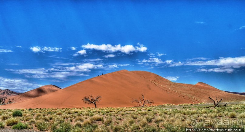 Оранжевые дюны Соссусфлея