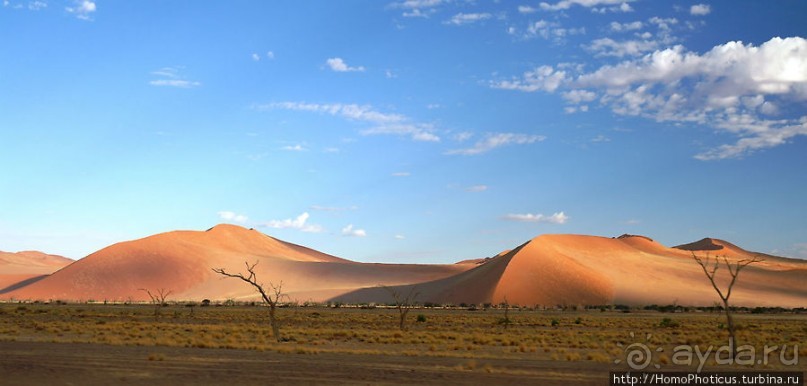 Оранжевые дюны Соссусфлея