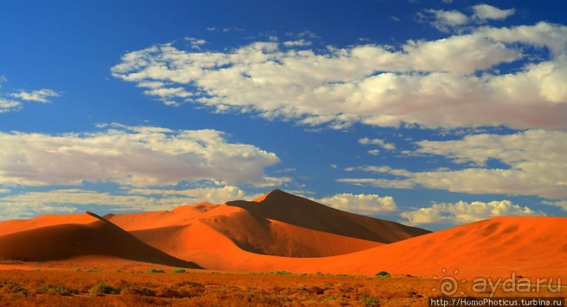 Оранжевые дюны Соссусфлея