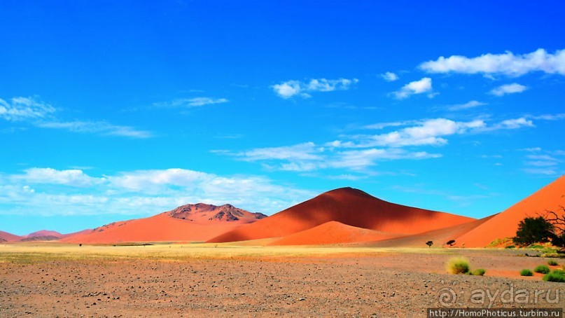 Оранжевые дюны Соссусфлея