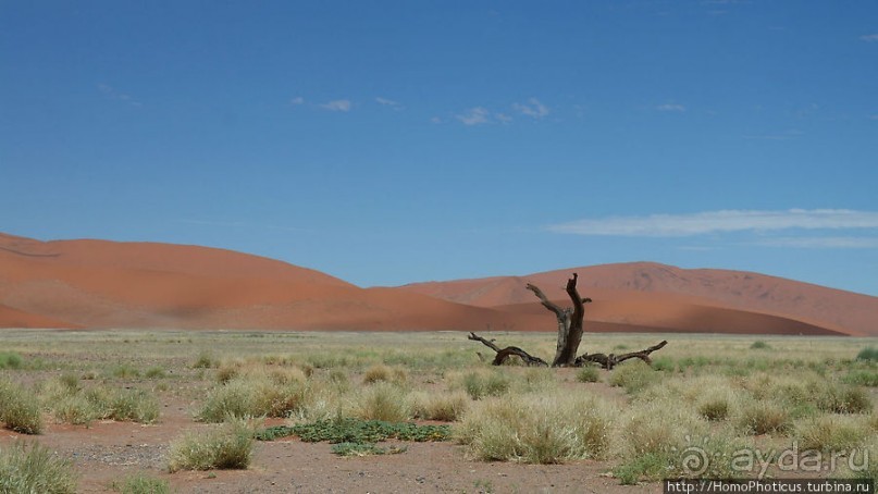 Оранжевые дюны Соссусфлея