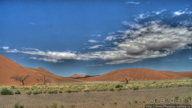 Оранжевые дюны Соссусфлея