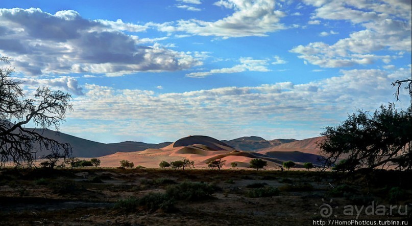 Оранжевые дюны Соссусфлея