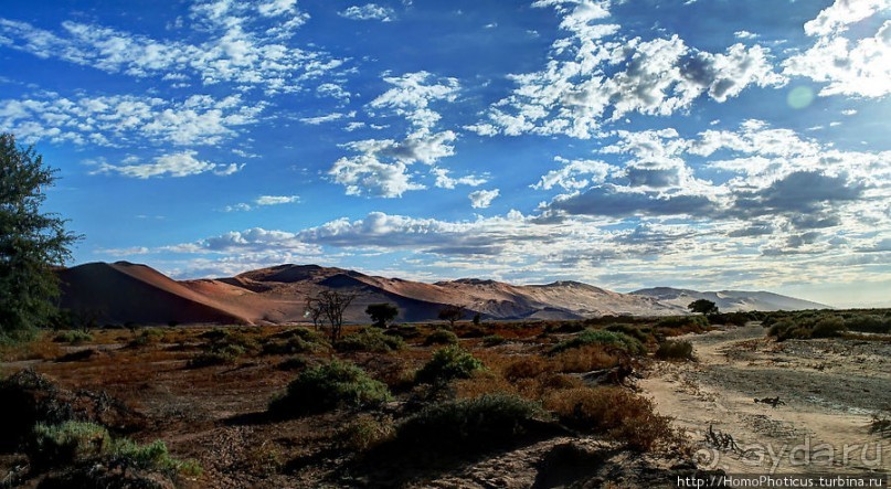 Оранжевые дюны Соссусфлея