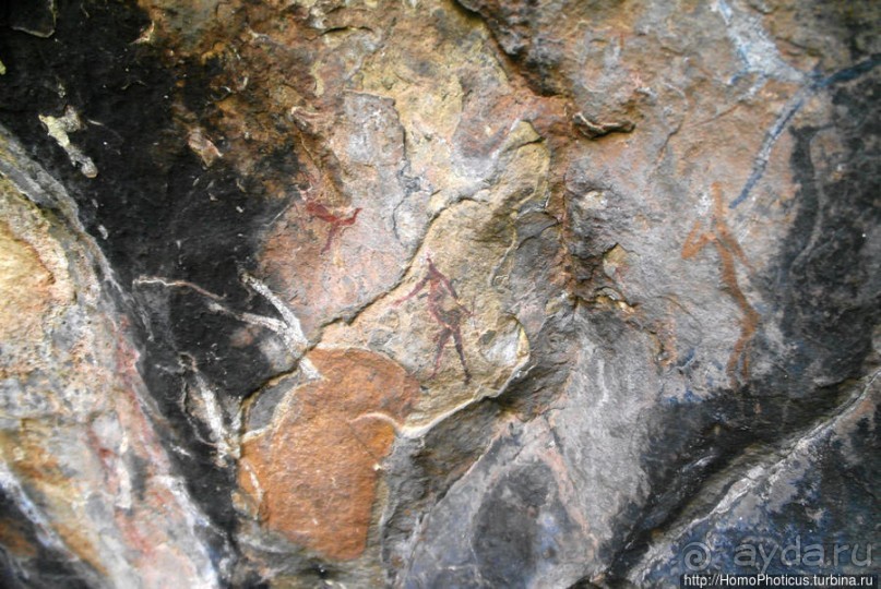 В чаше Драконовых гор: верхом на пони