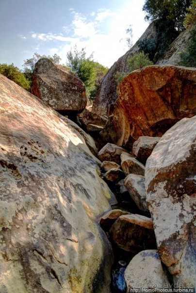 В чаше Драконовых гор: верхом на пони