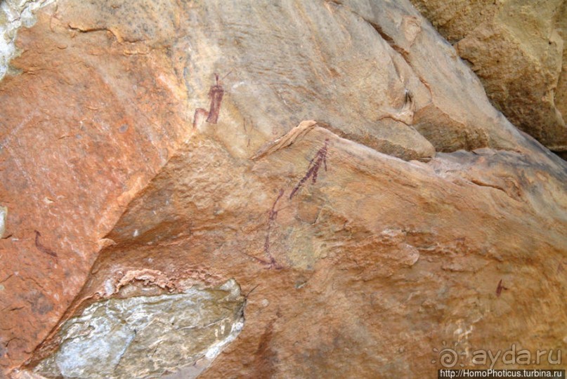 В чаше Драконовых гор: верхом на пони