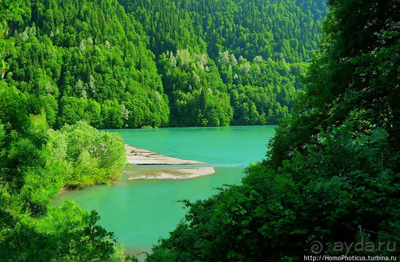 Рица в серебре и зелени