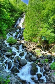 Рица в серебре и зелени