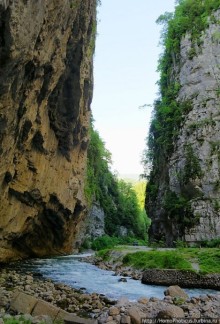 Рица в серебре и зелени