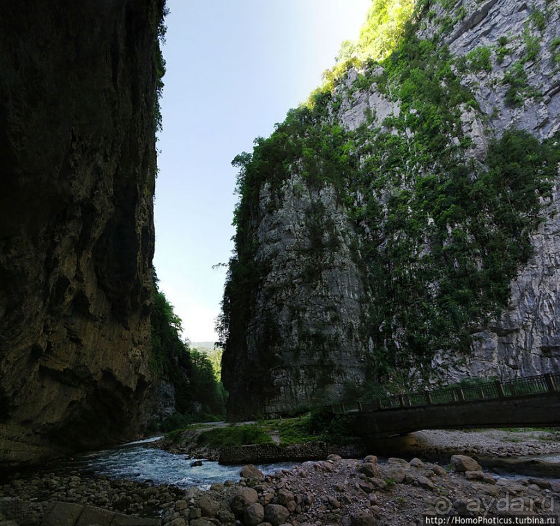 Рица в серебре и зелени
