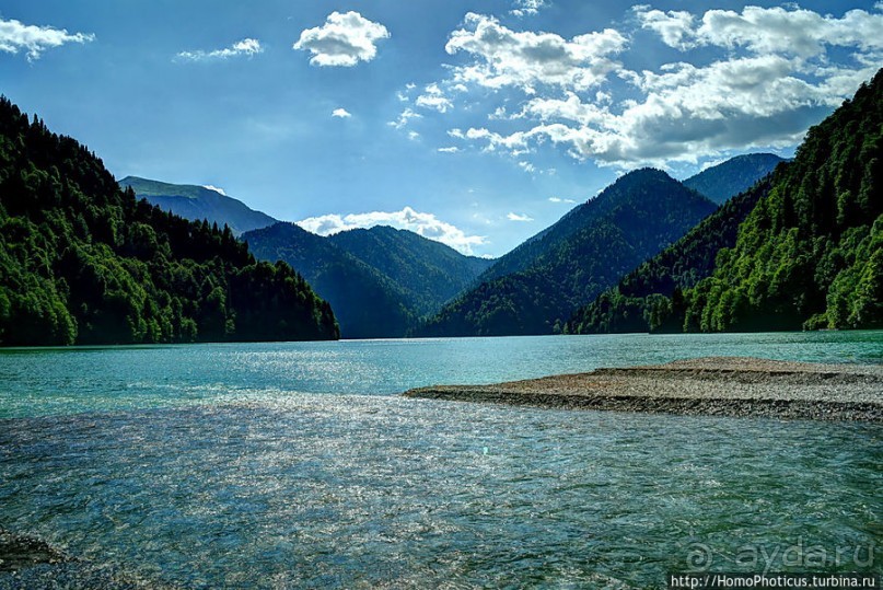 Рица в серебре и зелени