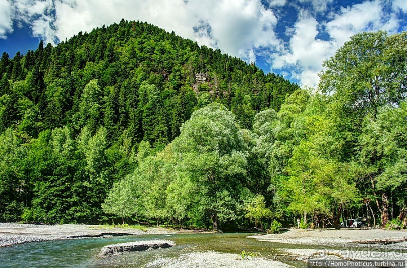 Рица в серебре и зелени