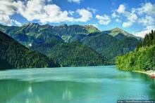 Рица в серебре и зелени