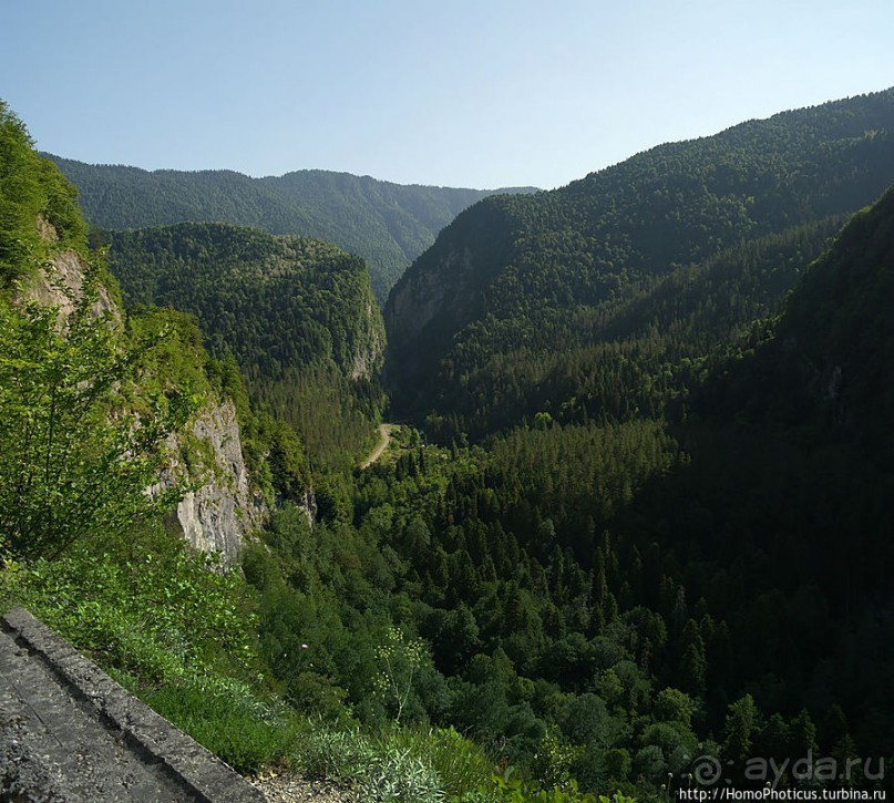 Рица в серебре и зелени