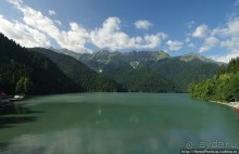 Рица в серебре и зелени