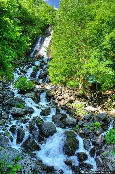 Рица в серебре и зелени