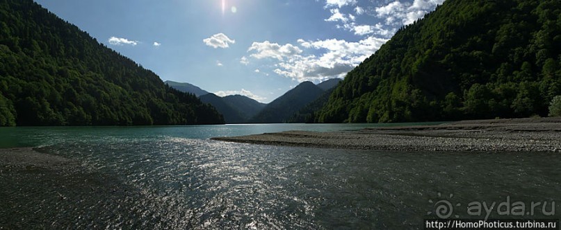 Рица в серебре и зелени