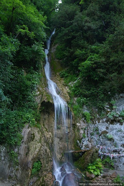 Рица в серебре и зелени