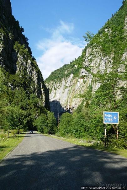 Рица в серебре и зелени