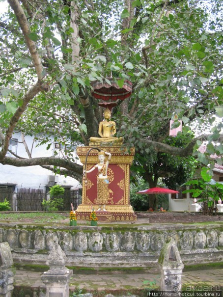 Альбом отзыва "Королевский город-музей"