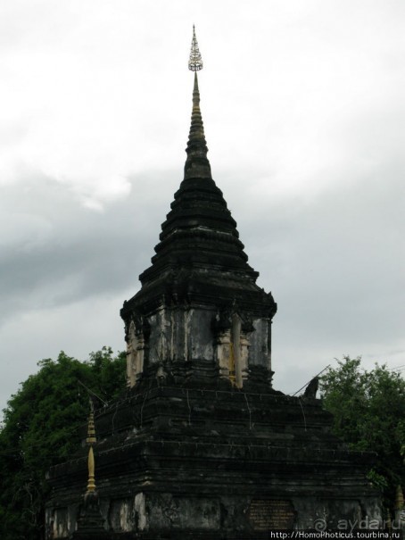 Альбом отзыва "Королевский город-музей"